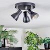 Farel Lampa sufitowa, Spot sufitowy Chrom, Czarny, 3-punktowe