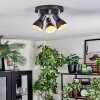 Farel Lampa sufitowa, Spot sufitowy Chrom, Czarny, 3-punktowe