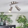 Firan Lampa sufitowa, Spot sufitowy LED Nikiel matowy, 2-punktowe