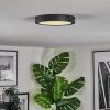 Isela Lampa sufitowa LED Czarny, 1-punktowy