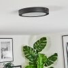 Isela Lampa sufitowa LED Czarny, 1-punktowy