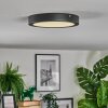 Isela Lampa sufitowa LED Czarny, 1-punktowy