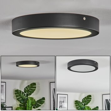 Isela Lampa sufitowa LED Czarny, 1-punktowy