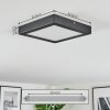 Isela Lampa sufitowa LED Czarny, 1-punktowy