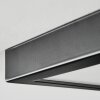 Isela Lampa sufitowa LED Czarny, 1-punktowy