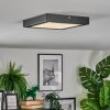 Isela Lampa sufitowa LED Czarny, 1-punktowy