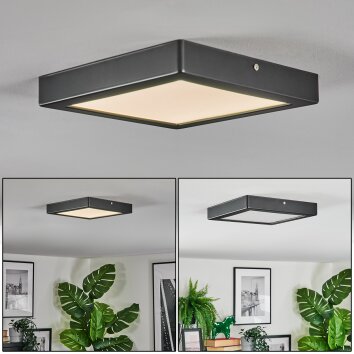 Isela Lampa sufitowa LED Czarny, 1-punktowy