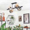 Koyoto lampa sufitowa, kula świetlna bursztynowy, przezroczysty, przydymiony, 8-punktowe