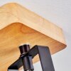 Hagan lampa sufitowa, spot sufitowy chrom, kolory naturalne, czarny, 2-punktowe
