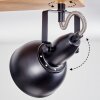 Hagan lampa sufitowa, spot sufitowy chrom, kolory naturalne, czarny, 2-punktowe
