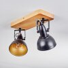 Hagan lampa sufitowa, spot sufitowy chrom, kolory naturalne, czarny, 2-punktowe