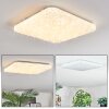 Loden Lampa sufitowa LED Biały, 1-punktowy
