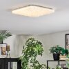 Loden Lampa sufitowa LED Biały, 1-punktowy