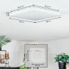 Loden Lampa sufitowa LED Biały, 1-punktowy