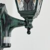Naofe Zewnętrzny kinkiet, Lampa ścienna Zielony, Czarny, 1-punktowy, Czujnik ruchu
