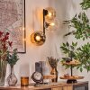 Koyoto Kula świetlna, Lampa ścienna W kolorze bursztynu, Przezroczysty, 3-punktowe