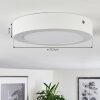 Finsrud Lampa Sufitowa LED Biały, 1-punktowy