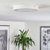 Finsrud Lampa Sufitowa LED Biały, 1-punktowy
