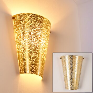 Zera Lampa ścienna Złoty, 1-punktowy