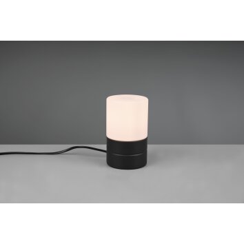 Trio-Leuchten Ary lampka nocna Czarny, 1-punktowy Trio-Leuchten Ary lampka nocna Czarny, 1-punktowy