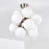 Hyco Lampa Sufitowa Nikiel matowy, 12-punktowe