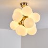 Hyco Lampa Sufitowa Nikiel matowy, 12-punktowe