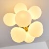 Hyco Lampa Sufitowa Nikiel matowy, 12-punktowe