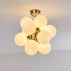 Hyco Lampa Sufitowa Nikiel matowy, 12-punktowe