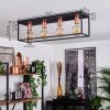 Malao Lampa Sufitowa Różane złoto, Czarny, 4-punktowe