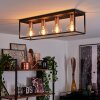 Malao Lampa Sufitowa Różane złoto, Czarny, 4-punktowe