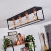 Malao Lampa Sufitowa Różane złoto, Czarny, 4-punktowe
