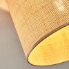 Sabadim Lampa sufitowa beige, Ecru, 1-punktowy