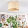 Sabadim Lampa sufitowa beige, Ecru, 1-punktowy