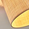 Sabadim Lampa sufitowa beige, Ecru, 1-punktowy