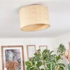Sabadim Lampa sufitowa beige, Ecru, 1-punktowy