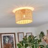 Cavaca Lampa sufitowa Ecru, 1-punktowy