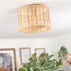 Cavaca Lampa sufitowa Ecru, 1-punktowy