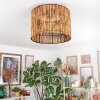 Cando Lampa sufitowa Ecru, 1-punktowy