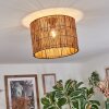 Cando Lampa sufitowa Ecru, 1-punktowy