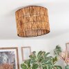 Cando Lampa sufitowa Ecru, 1-punktowy