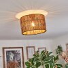 Cando Lampa sufitowa Ecru, 1-punktowy