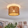 Cando lampa sufitowa naturalny, 1-punktowy