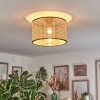 Ramila Lampa sufitowa Ecru, Czarny, 1-punktowy