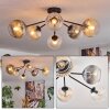 Koyoto Lampa sufitowa, Kula świetlna 73 cm W kolorze bursztynu, Przezroczysty, Przydymiony, 6-punktowe
