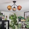 Ripoll Lampa sufitowa, Kula świetlna Chrom, Złoty, W kolorze miedzi, Przydymiony, 3-punktowe
