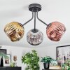 Ripoll Lampa sufitowa, Kula świetlna Chrom, Złoty, W kolorze miedzi, Przydymiony, 3-punktowe