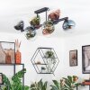 Gastor Lampa sufitowa, Kula świetlna Niebeieski, Zielony, Przezroczysty, W kolorze miedzi, 10-punktowe