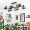 Gastor Lampa sufitowa, Kula świetlna Niebeieski, Zielony, Przezroczysty, W kolorze miedzi, 10-punktowe