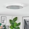 Elmar Lampa sufitowa, Panel LED Biały, 1-punktowy