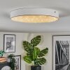 Elmar Lampa sufitowa, Panel LED Biały, 1-punktowy